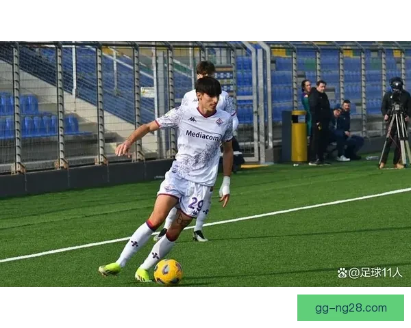 2025夏季转会窗口佛罗伦萨成功引进法国中场球员